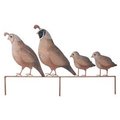 Regal Art & Gift Regal Art & Gift REGAL05339 Quail Family Yard Art REGAL05339